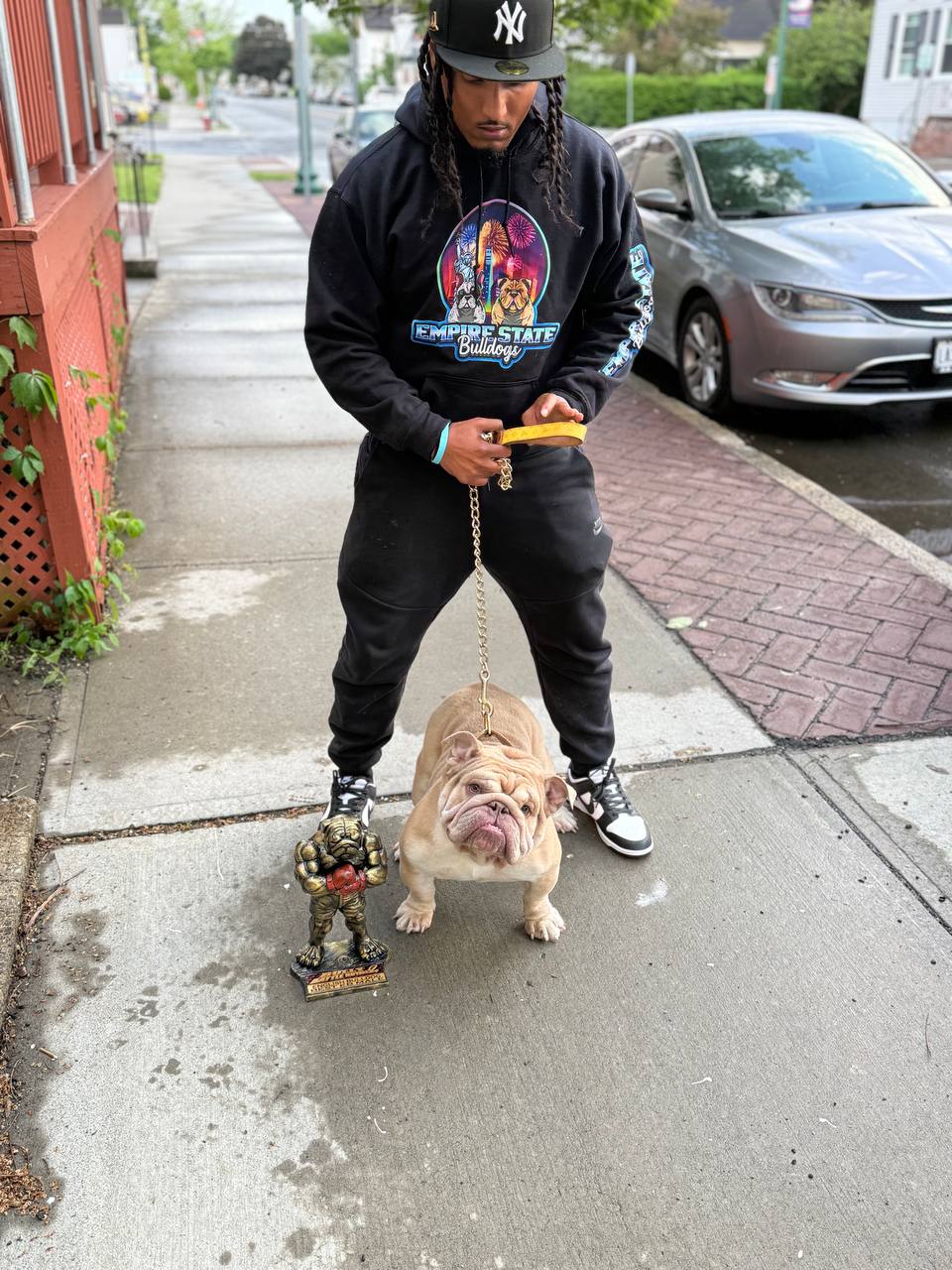 Empire State Bulldog Gallery Photo 5