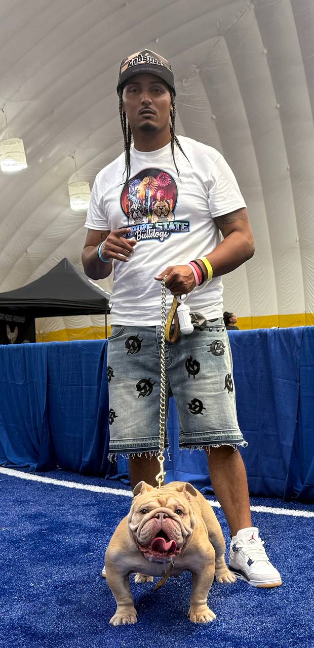 Empire State Bulldog Gallery Photo 6