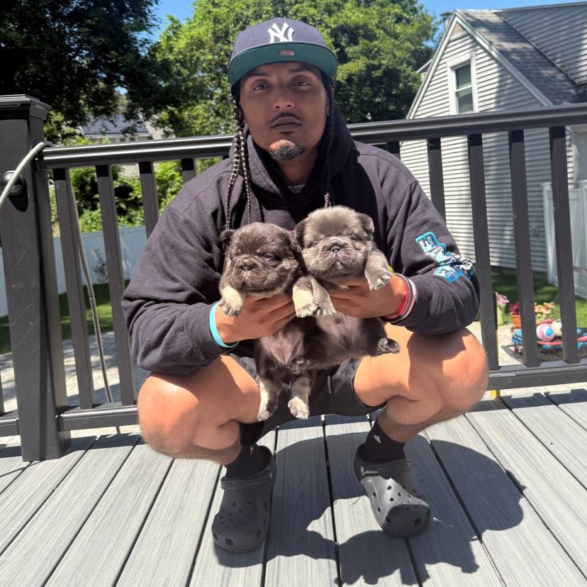 Empire State Bulldog Gallery Photo 11